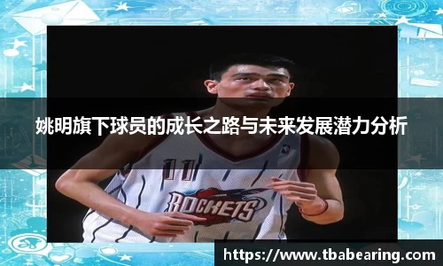 多多28